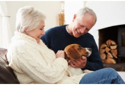The Benefits of Caring for a Pet 