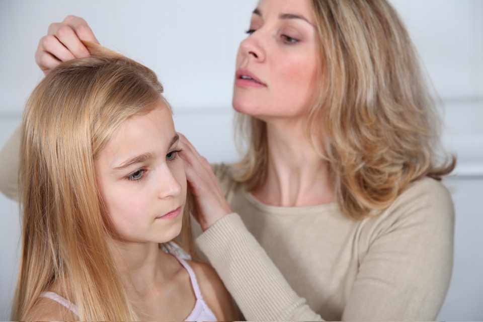 How to Deal with Head Lice | Laval Families Magazine | Laval's Family Life Magazine