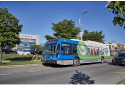Summer Bus News: Bikes, Fares, and OPUS Cards