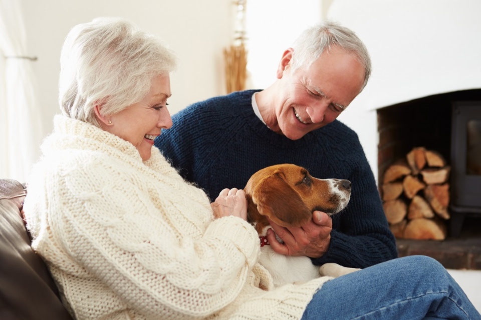 The Benefits of Caring for a Pet  | Laval Families Magazine | Laval's Family Life Magazine