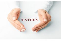 Shared Custody for Toddlers