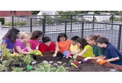  Combining Nature with Nurture at Genesis Elementary