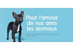 First Animal Exposition in Laval 