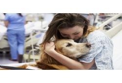 Pets and Teens: Together for Mental Health 
