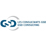 GSD Consulting
