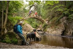 Le Parc des Appalaches: A must-see destination for nature lovers