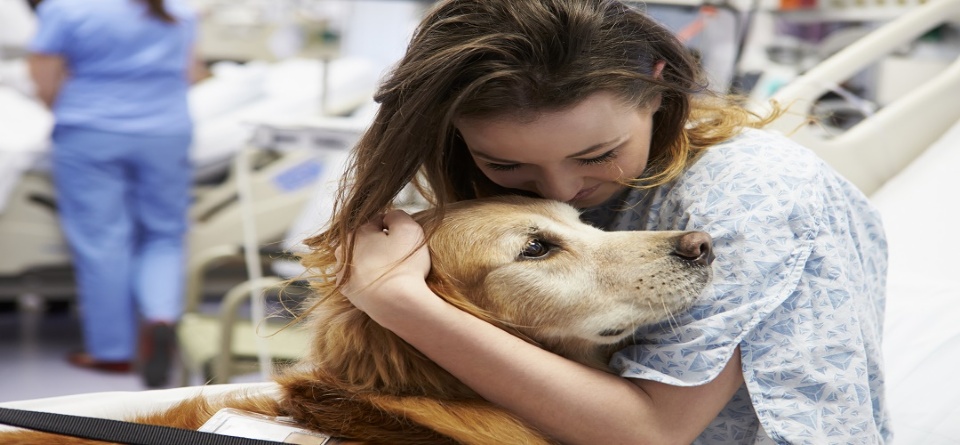 Pets and Teens: Together for Mental Health  | Laval Families Magazine | Laval's Family Life Magazine